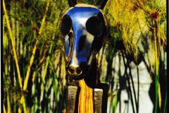 Spirit Won, Bronze & Wood