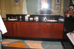 Wilson Home - bathroom