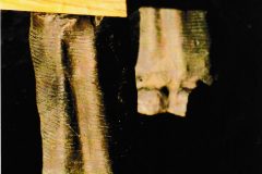 Elephant Leg Table